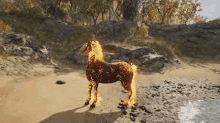 a fire horse is standing on a sandy beach next to a body of water .