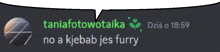 a speech bubble that says taniafotowotaika no a kjebab jes furry