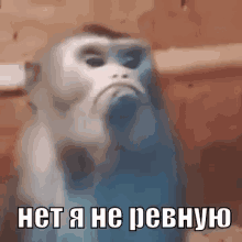 a monkey is making a funny face in a blurry photo with russian writing on it .