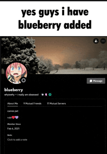 a screenshot of a person 's profile with the words yes guys i have blueberry added