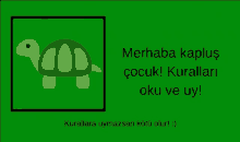 a green background with a turtle and the words merhaba kaplus cocuk kurallari oku ve uy