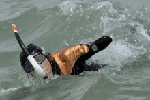 a man in a wet suit is swimming in the water