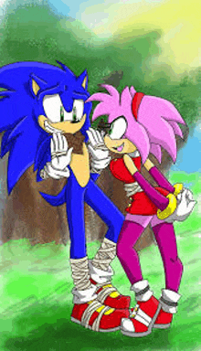 a drawing of sonic the hedgehog and amy rose standing next to each other .