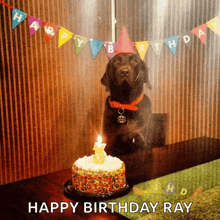 a dog wearing a birthday hat sits in front of a cake with a candle