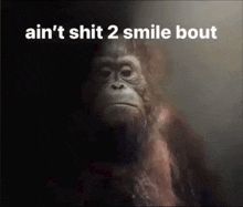 a monkey with the words ain 't shit 2 smile bout