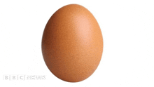 a brown egg on a white background with bbc news written on the bottom