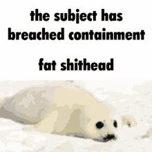 a seal is laying in the snow with the words `` the subject has breached containment fat shithead '' above it .