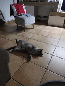 a cat laying on its back on a tiled floor