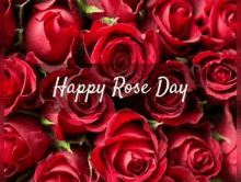 a bunch of red roses with the words `` happy rose day '' on them .