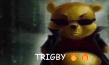 a teddy bear wearing sunglasses and a jacket says trigby on the bottom