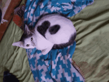 a cat laying on a blanket with a heart on its back