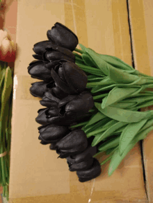 a bunch of black tulips with green leaves are sitting on a cardboard box