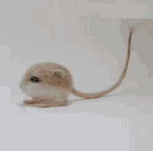 a small mouse with a long tail is sitting on a white table .