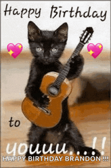 a black cat is holding a guitar in its paws on a happy birthday card