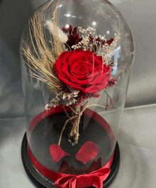 a red rose in a glass dome with a red ribbon