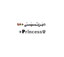 the word princess is written in a foreign language and has a crown on it .