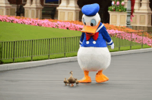 donald duck and ducklings are walking on the street