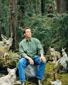 arnold schwarzenegger is sitting on a rock in the woods surrounded by animals