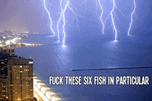 lightning strikes over a body of water with the words " fuck these six fish in particular "