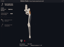 a computer screen shows a skeleton and says " motion mode " at the top