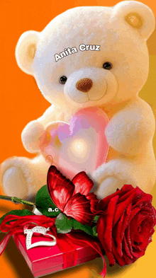 a teddy bear with the name anita cruz on it holding a heart