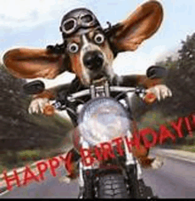 a dog wearing a helmet and goggles is riding a motorcycle on a birthday card .