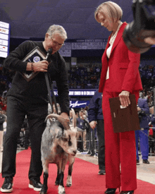 a man in a black shirt is holding a microphone while a woman in a red suit stands next to a small goat