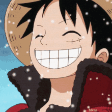 a smiling monkey d luffy from one piece is wearing a straw hat