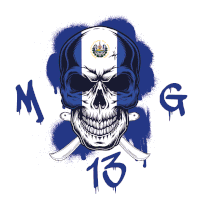 a skull with a flag on it and the number 13 on the bottom