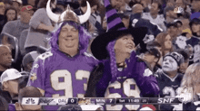 a man in a vikings jersey and a woman in a witch hat are standing next to each other at a football game .