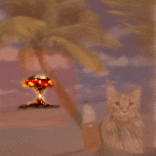 a cat sitting in front of a palm tree and a nuclear explosion in the background