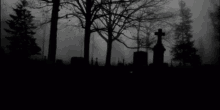 a cemetery in the fog with trees and a cross in the middle .