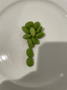 a bunch of green beans on a white plate in the shape of a palm tree