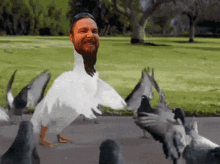 a man with a beard is surrounded by pigeons and a goose