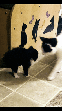 a black and white cat standing in front of a wall with silhouettes of cats on it