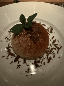 a dessert on a white plate with chocolate shavings and a mint leaf