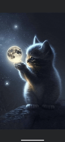 a kitten is holding a full moon in its paws while sitting on a rock .