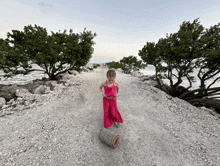 a little girl in a pink dress is standing next to a barrel on a dirt road