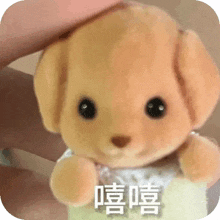 a person is petting a stuffed animal that has chinese writing on it