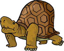 a cartoon drawing of a turtle with a geometric shell