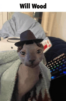 a hairless cat wearing a hat and a sweater with the name will wood on the bottom