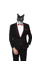 a man in a tuxedo with a cat on his face