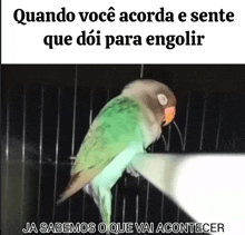 a picture of a bird in a cage with the caption quando voce acorda e sente que doi para engolir