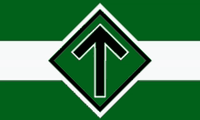 a green and white flag with an arrow pointing upwards