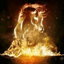 a horse is surrounded by flames and smoke in the dark .