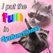 a raccoon wearing sunglasses is laying on its back with the words " i put the fun in dysfunctional " above it