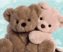 a brown and a pink teddy bear hugging each other