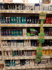 a store shelf filled with lots of shampoos and deodorants