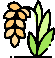 a drawing of a plant with leaves and ears