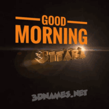 a 3d rendering of the name sitara says good morning